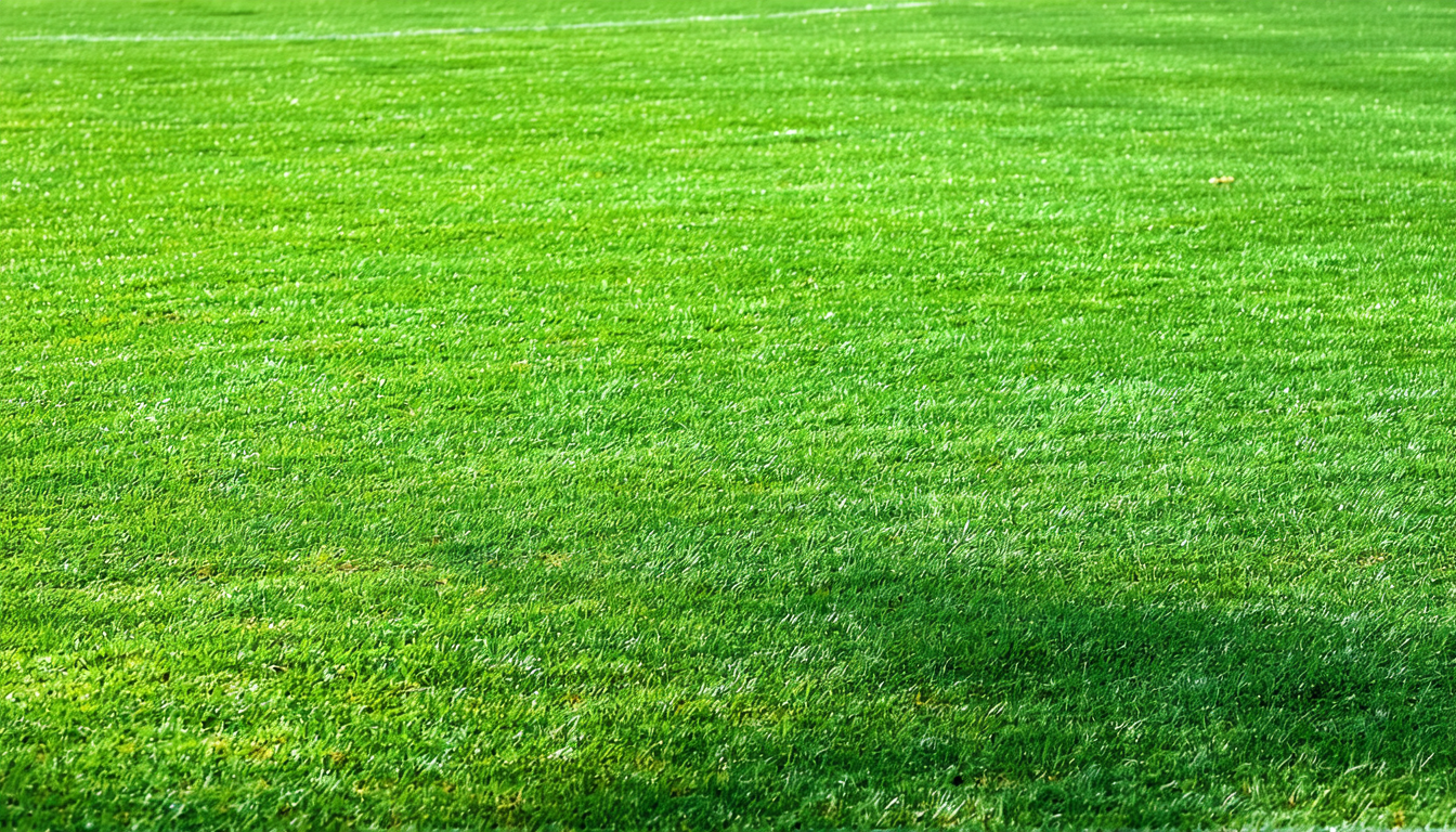 découvrez nos conseils pratiques pour choisir l'engrais idéal pour votre gazon. apprenez à identifier les besoins spécifiques de votre pelouse, les types d'engrais disponibles et les meilleures périodes d'application pour un gazon verdoyant et en pleine santé.